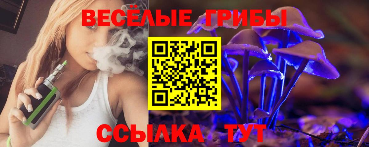 купить  цена  Вход с VPN  Среднеуральск  Галлюциногенные грибы прущие грибы 